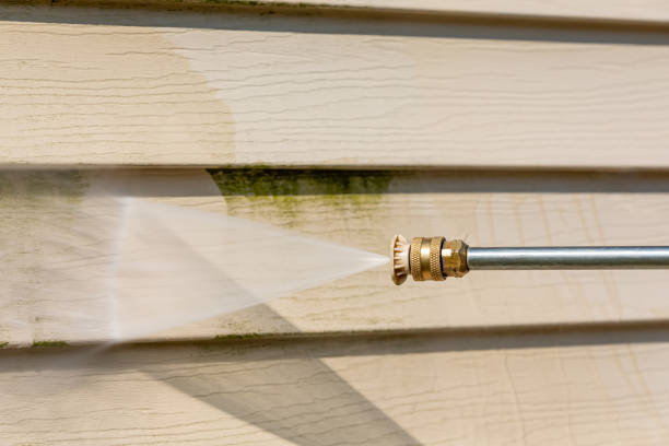 Best Roof Pressure Washing  in Murphy, NC